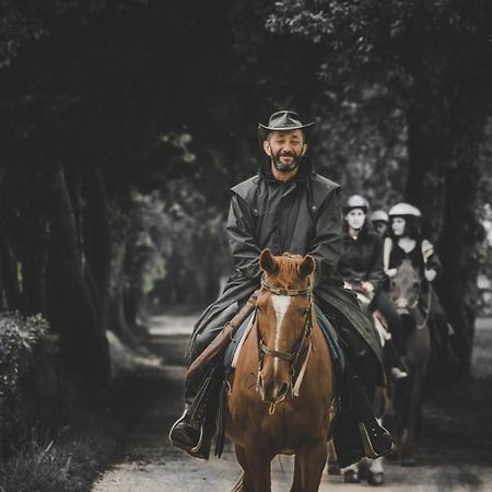 סוראנו Glamping In Toscana, Luxury Tents In Agriturismo Biologico מראה חיצוני תמונה