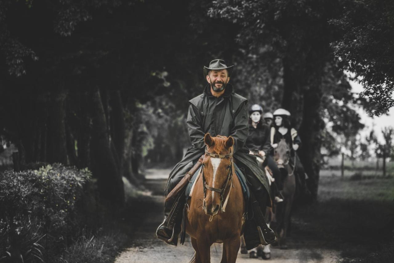 סוראנו Glamping In Toscana, Luxury Tents In Agriturismo Biologico מראה חיצוני תמונה